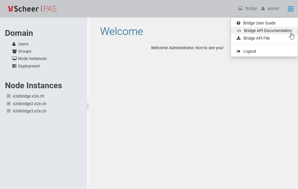 bridge_api_access.png