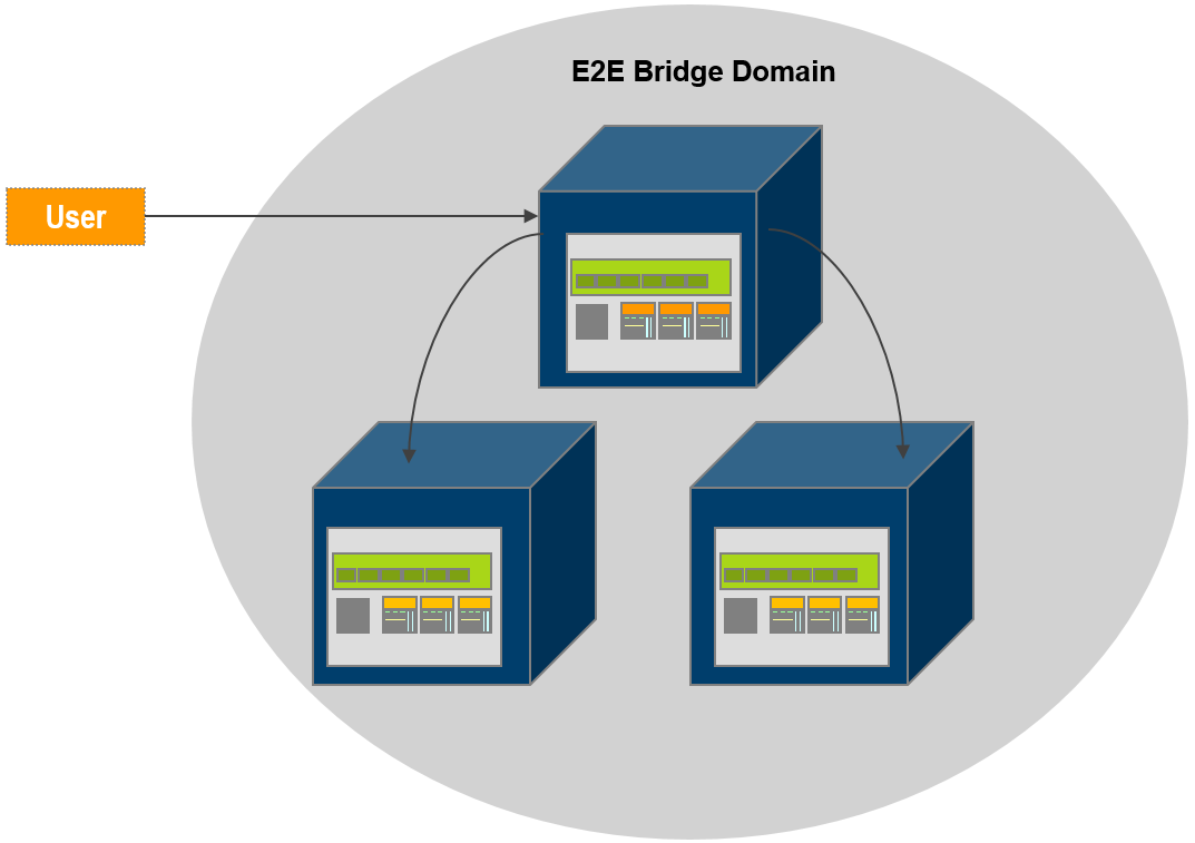 server_domain.png