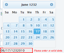 formValidation005.png