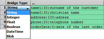 import_flatfile_select_bridge_type.png