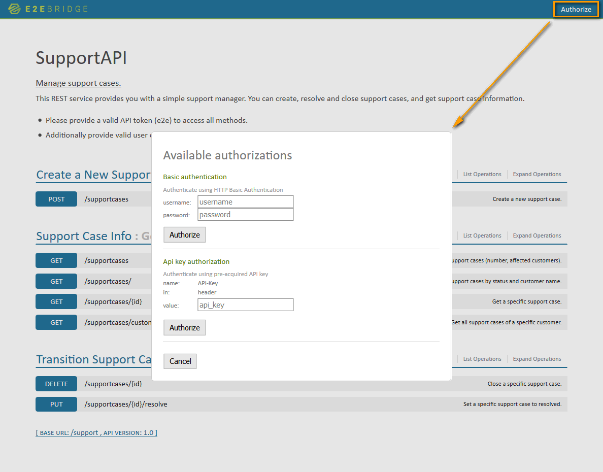 swagger_authorization.png