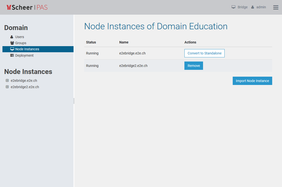 node_instances_after_import.png